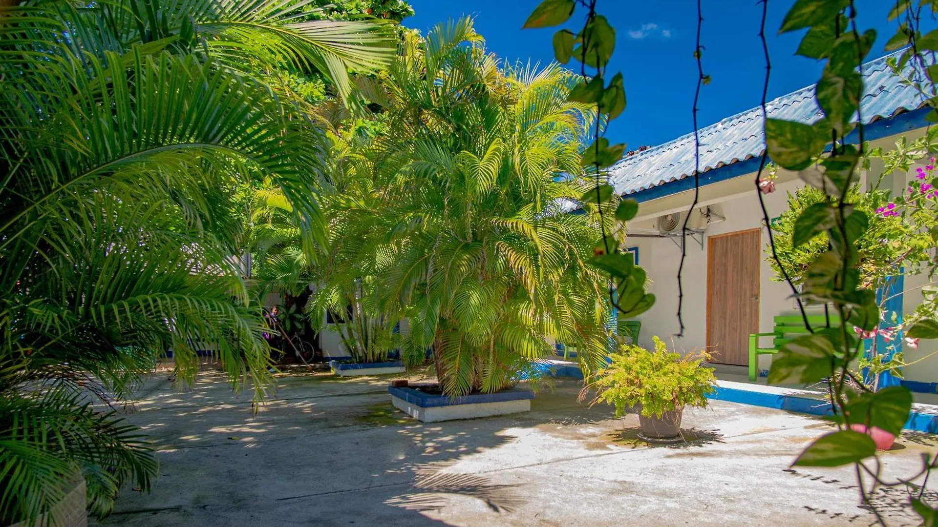 Alojamiento San Martin Hostel San Andrés