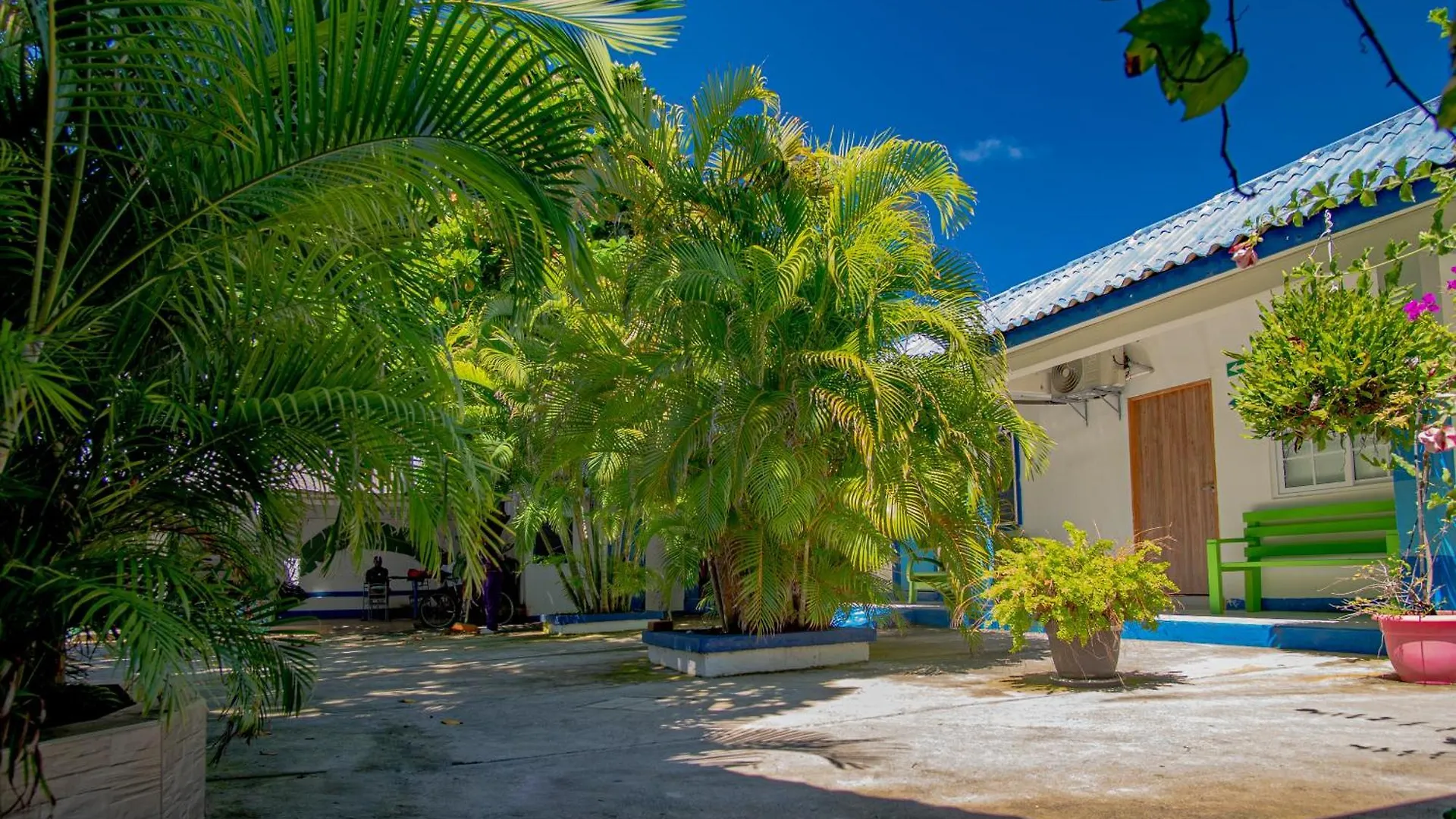 Alojamiento San Martin Hostel San Andres  San Andres (San Andres and Providencia Islands)