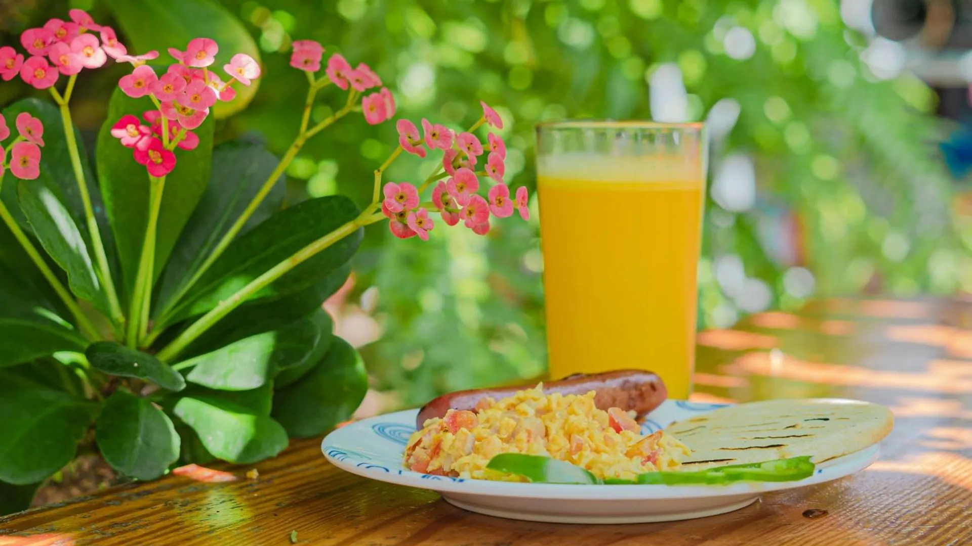 **  Hostal Posada San Martín Albergue San Andrés Colombia