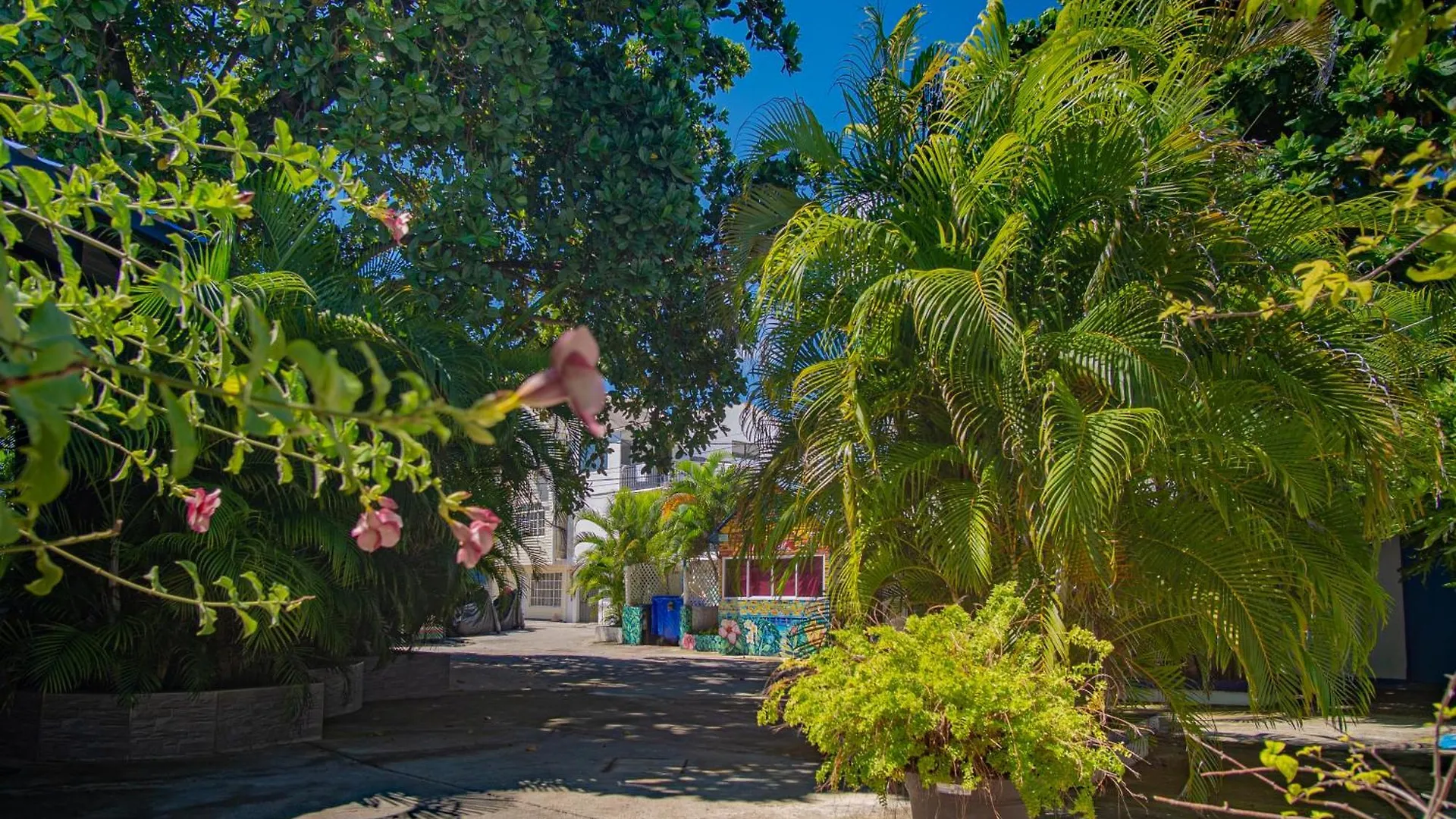 **  Alojamiento San Martin Hostel San Andres  Colombia