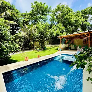 3* Mini-hôtel Palmare House