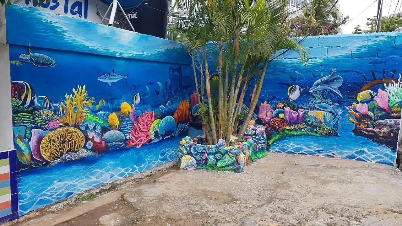 Alojamiento San Martin San Andrés Auberge de jeunesse
